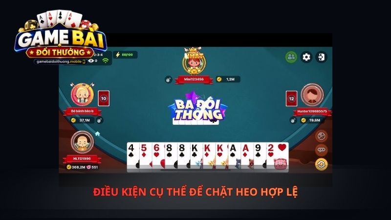 Điều Kiện Cụ Thể Để Chặt Heo Hợp Lệ