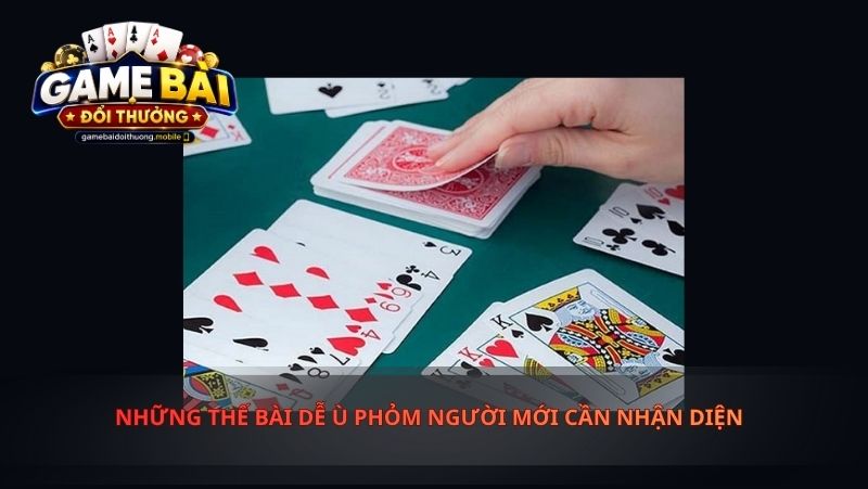 Những Thế Bài Dễ Ù Phỏm Người Mới Cần Nhận Diện