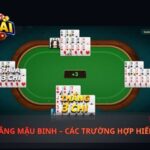 Tới Trắng Mậu Binh – Các Trường Hợp Hiếm Gặp Và Cách Nhận Biết Chuẩn Nhất